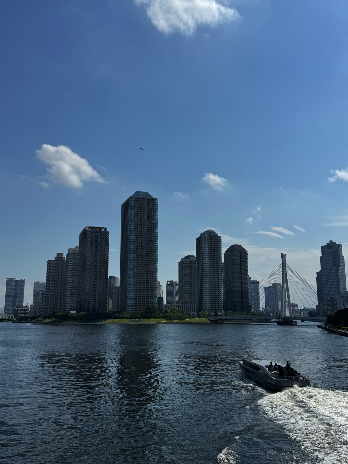 東京の水辺と街並み